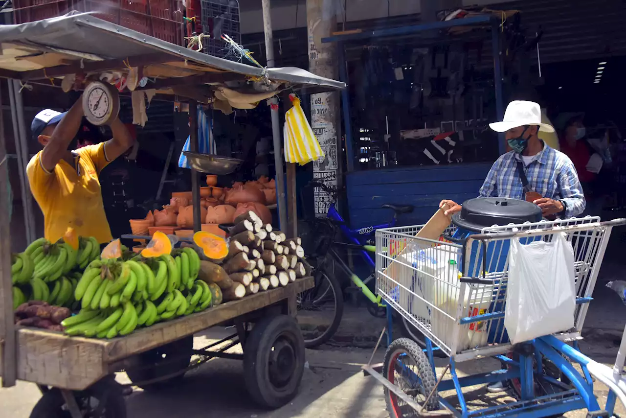 Barranquilla se encamina en la ruta a reducir la informalidad