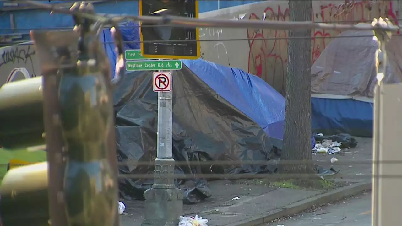 Officials worry over rising homeless encampment fires in Seattle