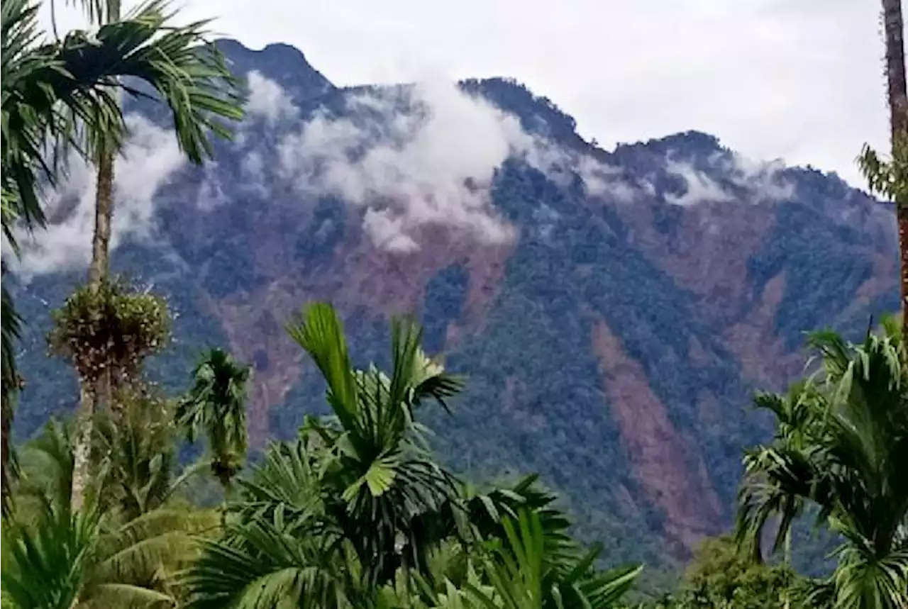 Video Lumpur Bergerak Pasca Gempa Pasbar, BNPB: Bukan Likuifaksi