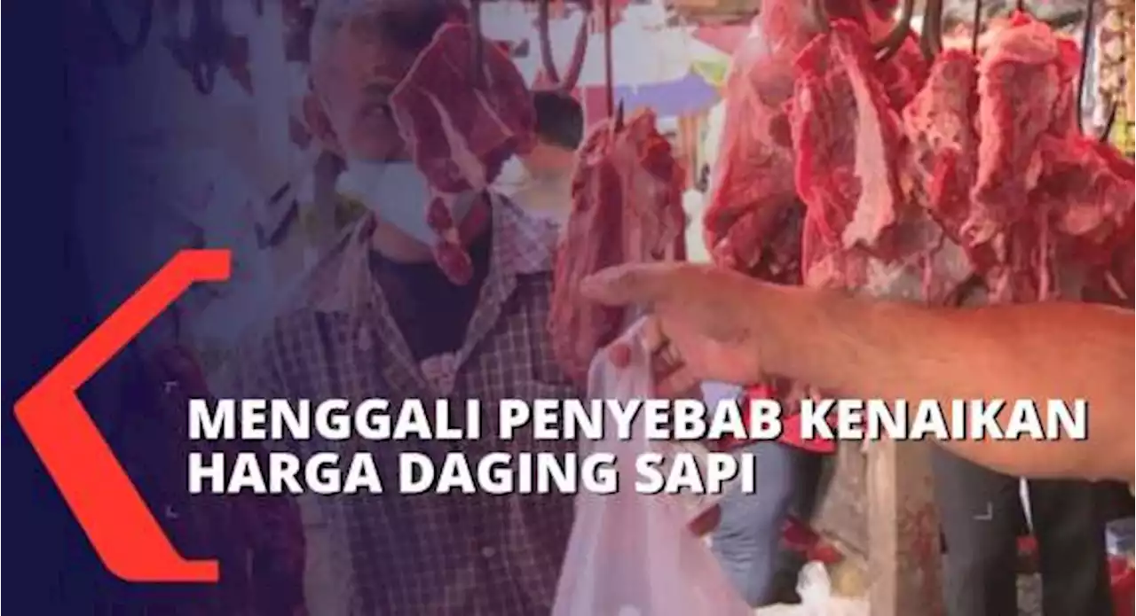 Harga Daging Sapi Ikut Naik, Apa Penyebabnya?