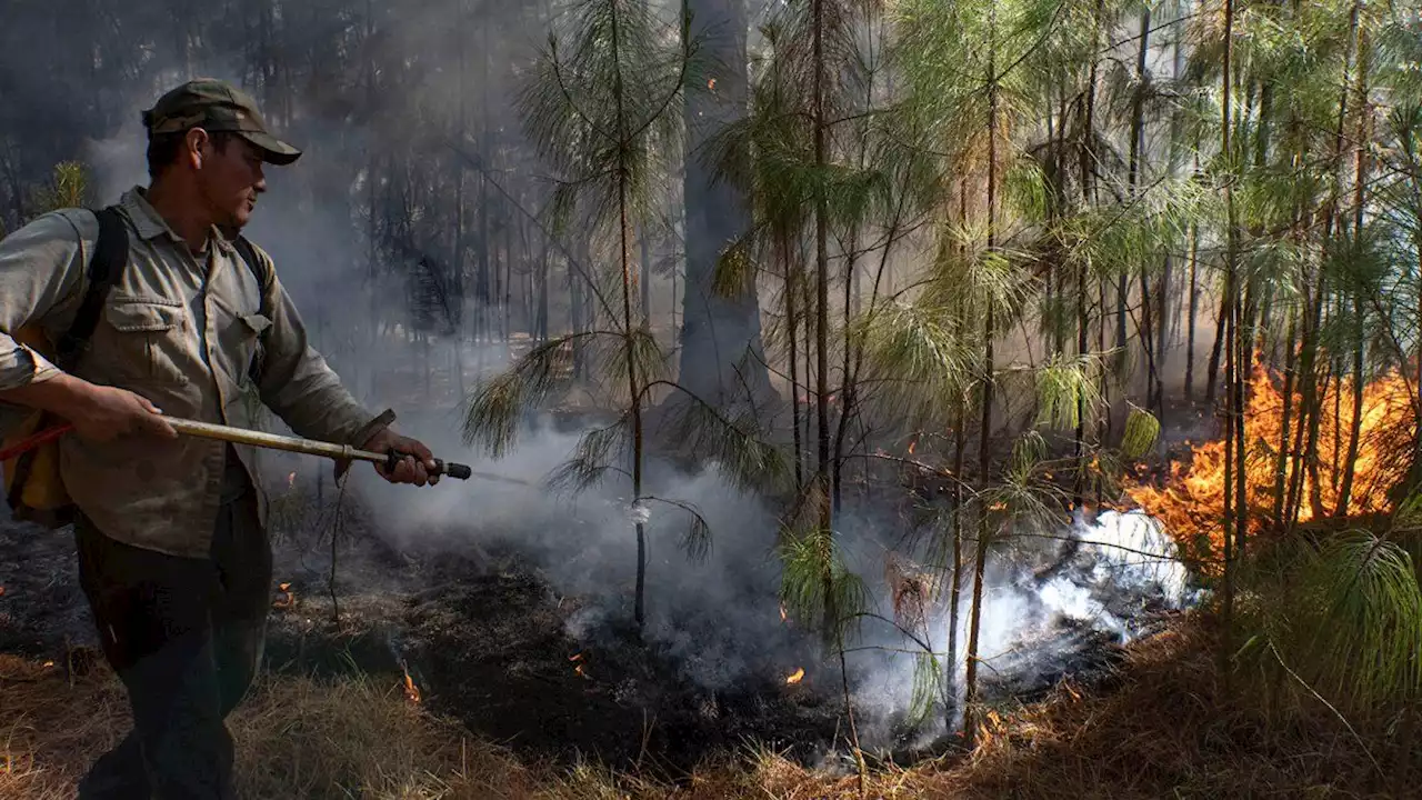 La pesadilla no termina: cinco focos de incendios en Corrientes activos