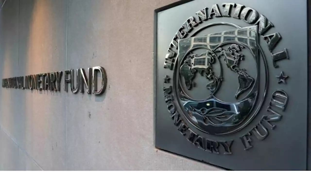 Nigeria’s social safety net suffers from limited coverage, weak targeting – IMF - Punch Newspapers