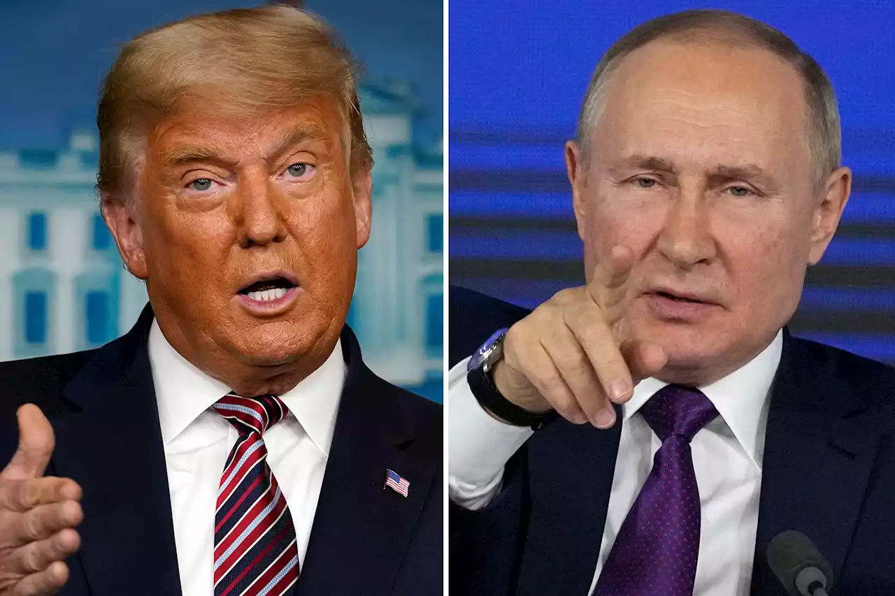 Majority of Americans say Putin would not have invaded Ukraine if Trump were president