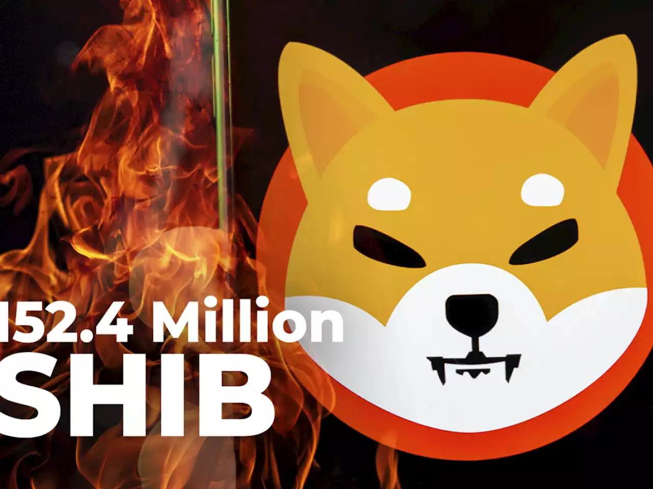 152.4 Million SHIB Burned In Past Seven Days: Details