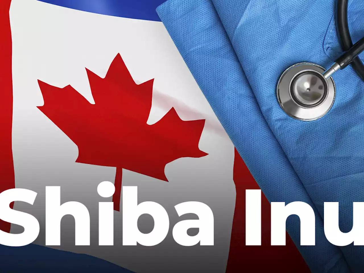 Shiba Inu Donations Now Accepted by Canadian Healthcare Foundation