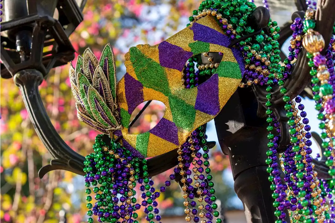 LIVE: Krewe of Kolosse Parade