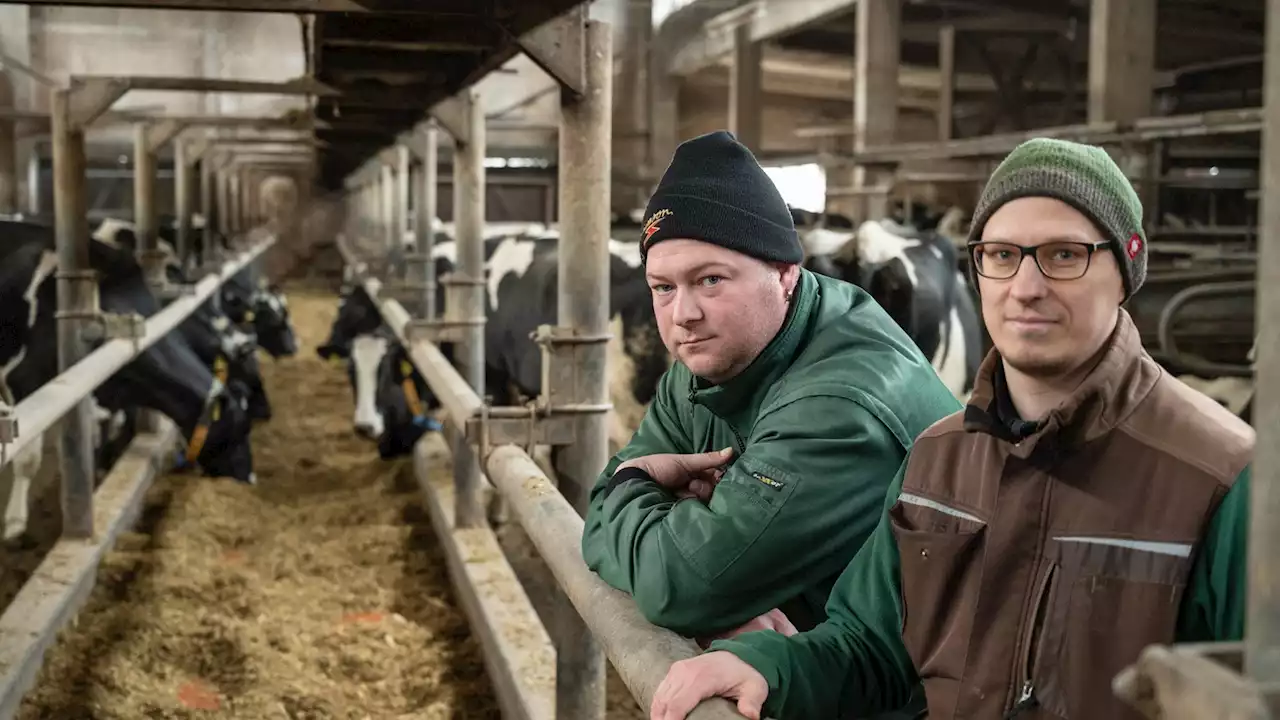 Weil wir zu viel Billig-Milch kaufen: Genossenschaft in Not!