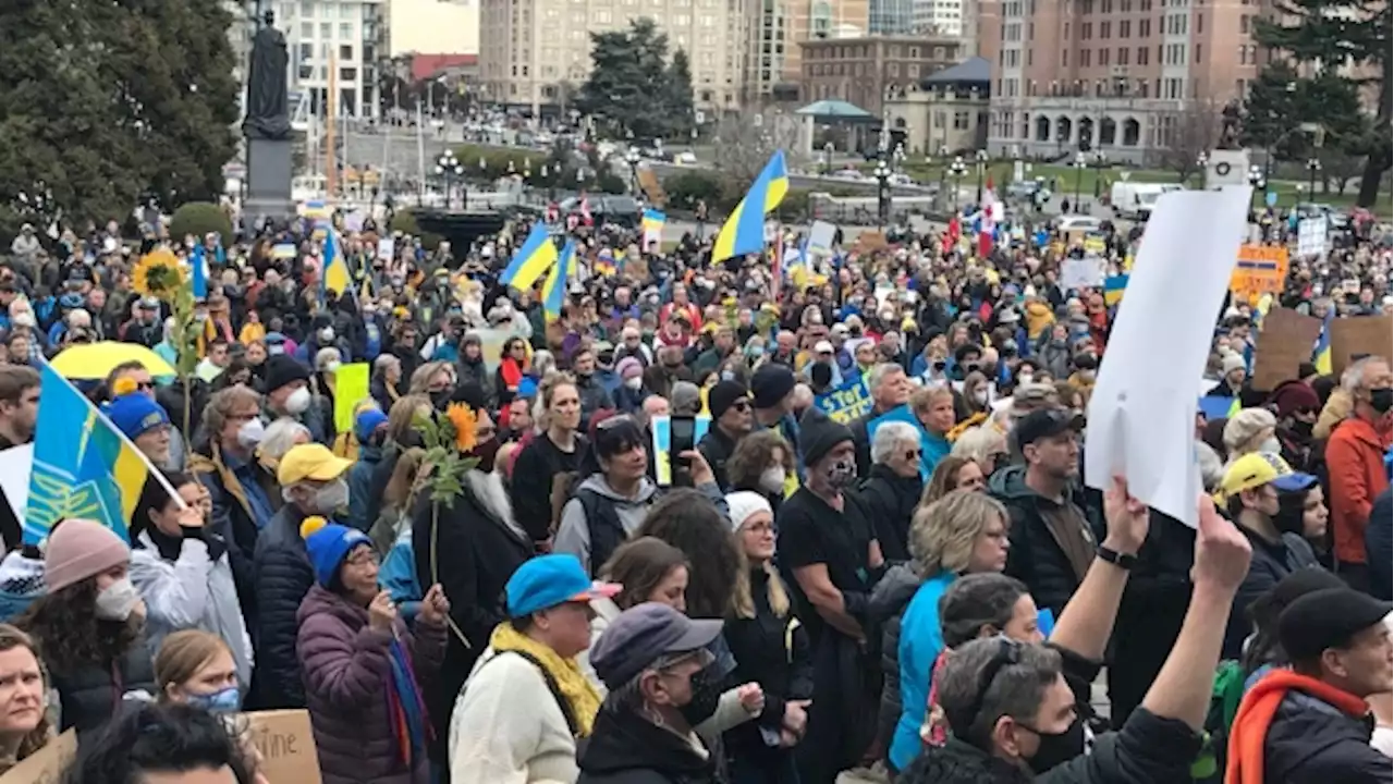 Anti-war protests across Canada and the globe stand in solidarity with Ukraine