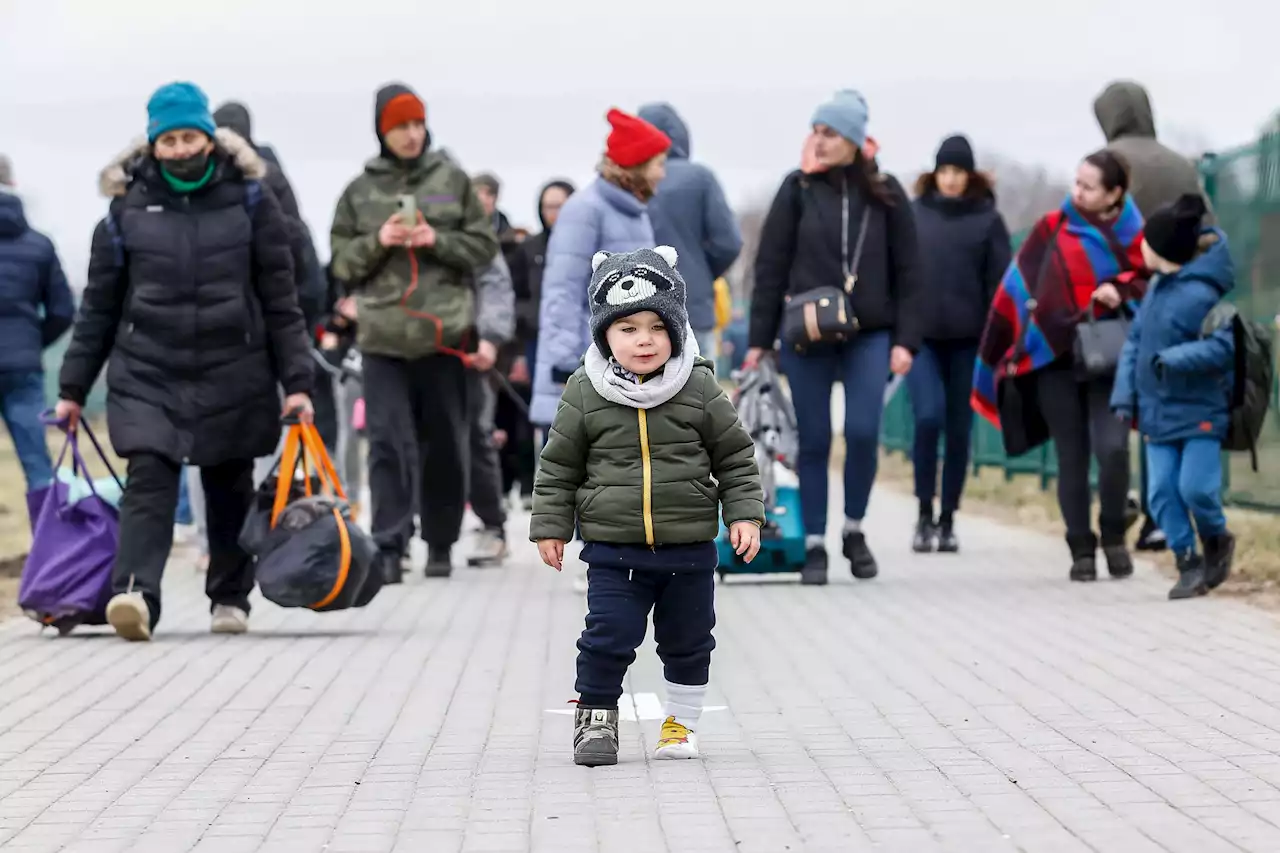 Ukraine-Krieg - EU-Innenminister verständigen sich über Flüchtlingsaufnahme