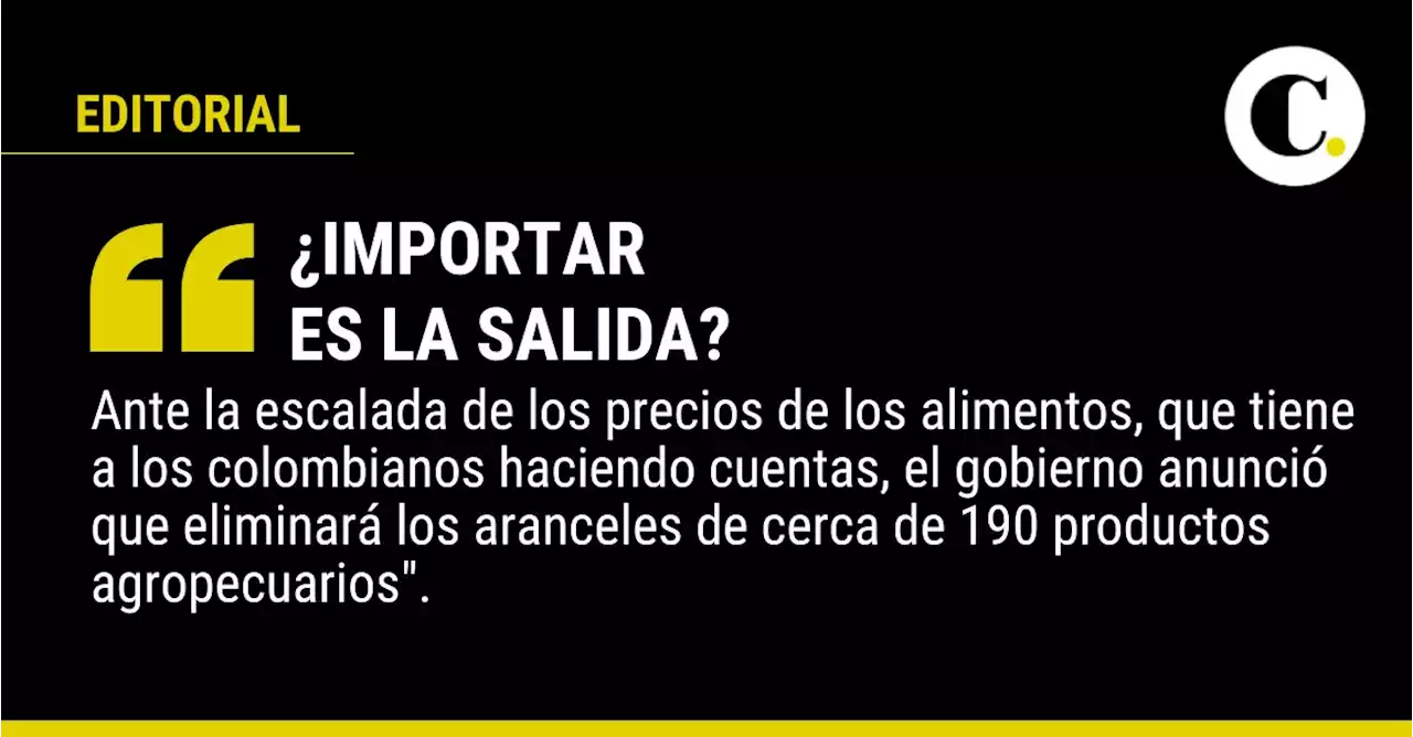 ¿Importar es la salida?