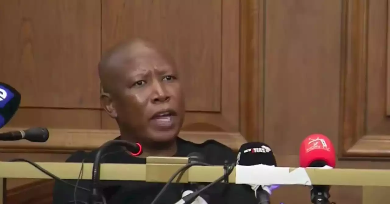 Malema back in court on firearm charges