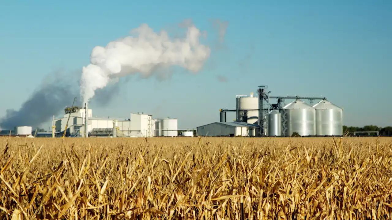 Biofuels may not be as green as we've been told