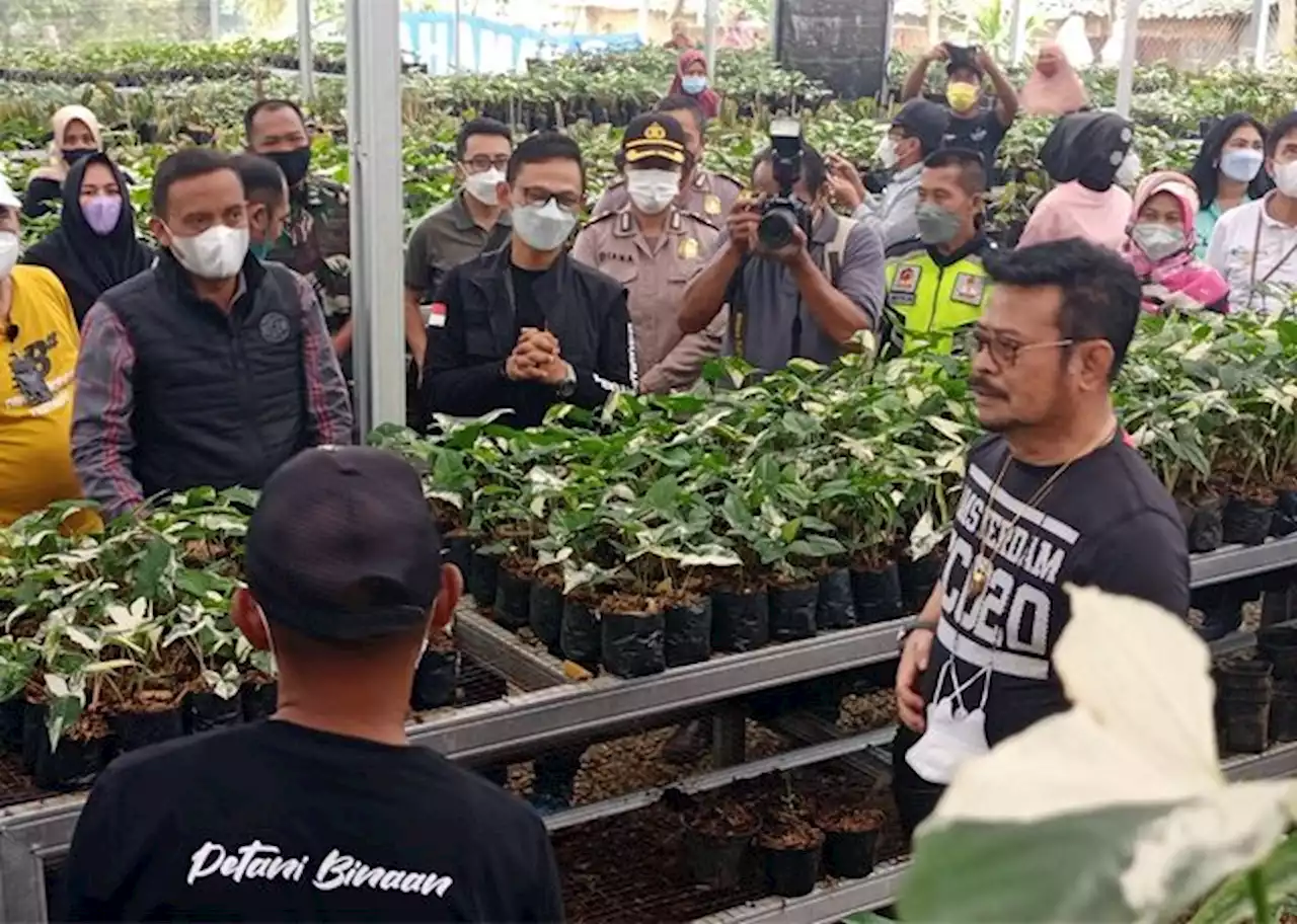 Tinjau Green House, Mentan Apresiasi Langkah Minaqu Bantu Petani Bunga