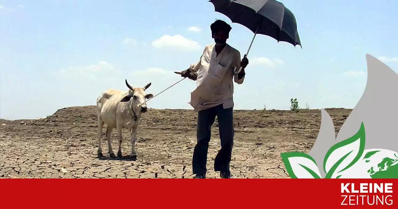 Weltklimabericht: Milliarden müssen um Wasser und Nahrung zittern