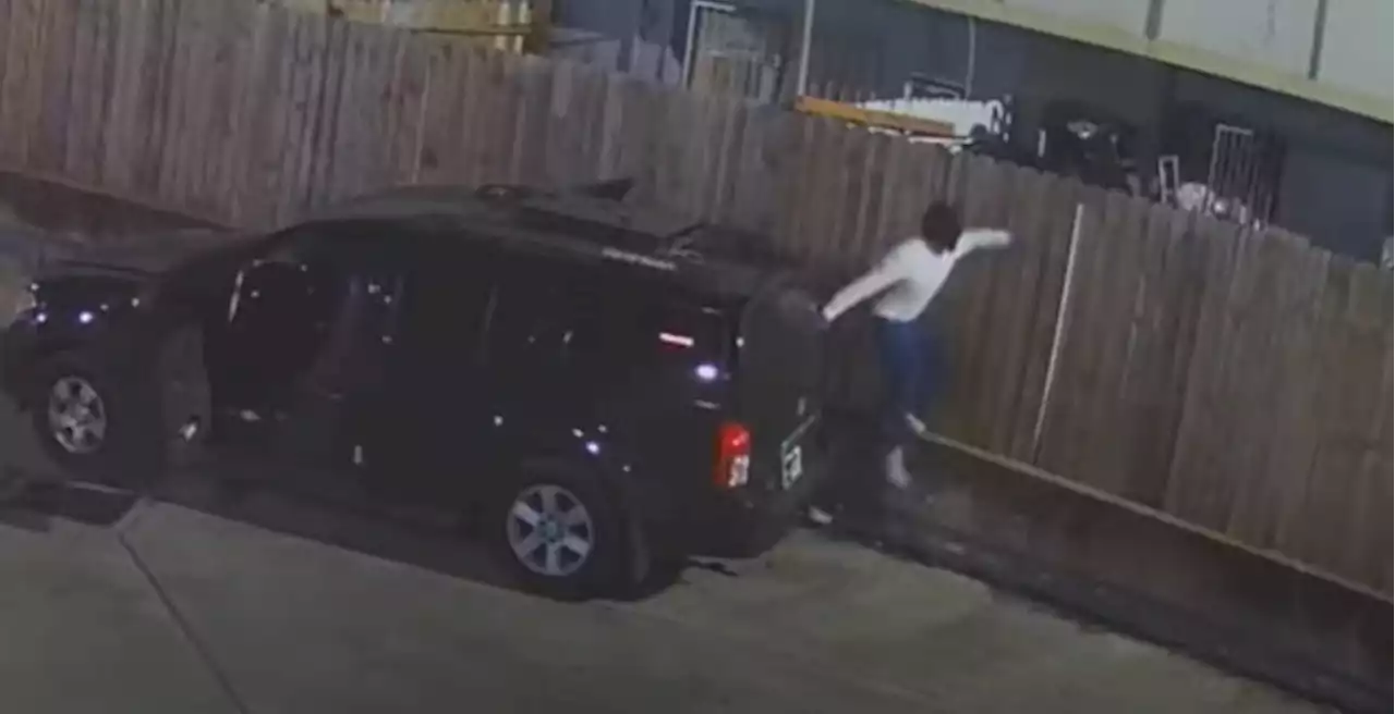 Video: Men in Nissan Pathfinder hop patio fence before using handcuffs, zip ties, taser in home invasion, HPD says