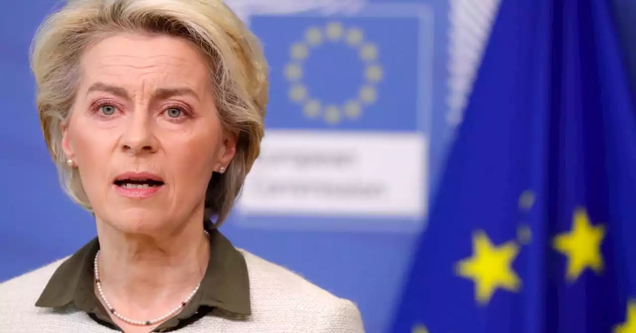 Wie wahrscheinlich ist ein EU-Beitritt der Ukraine wirklich?