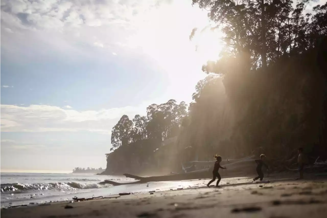 Bay Area outdoors: Best hikes to see fossils inland and on the coast