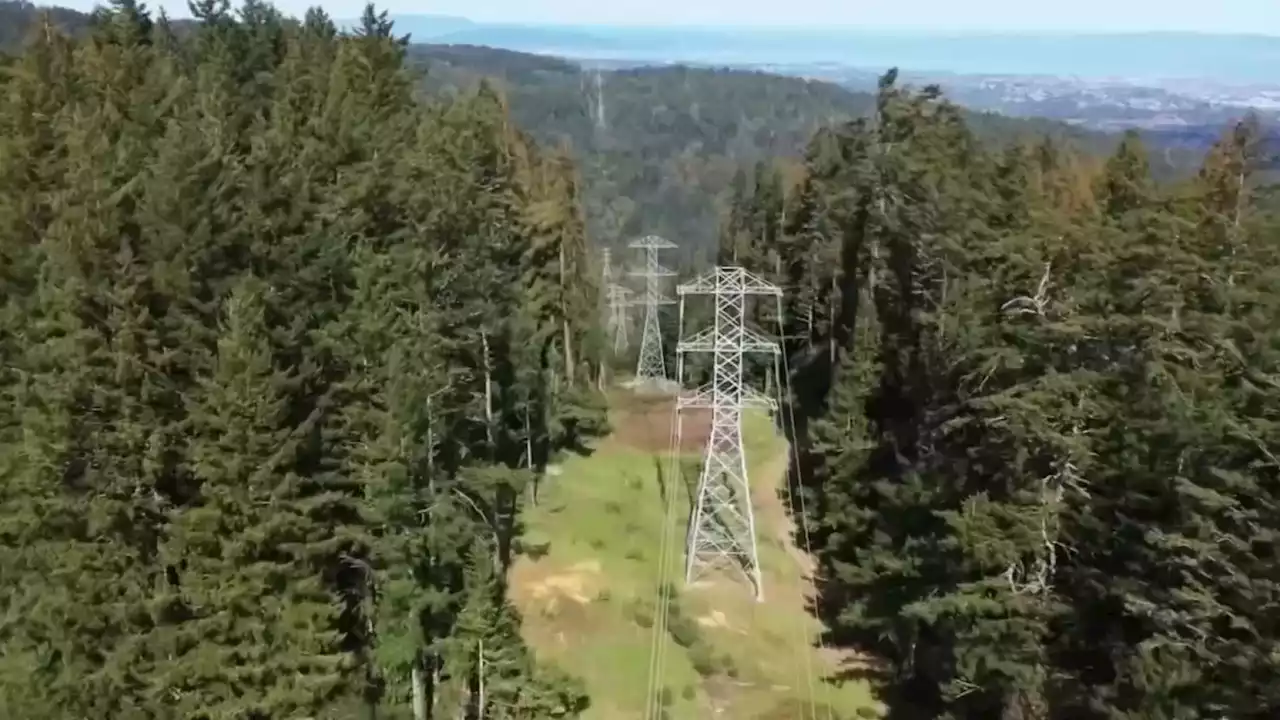 PG&E Cited After Deploying ‘Heli-Saw' in San Mateo County Park