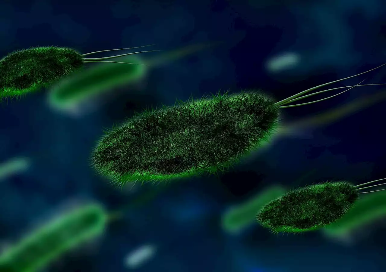 Pathogen-repellent wrap shown to shed viruses as well as bacteria