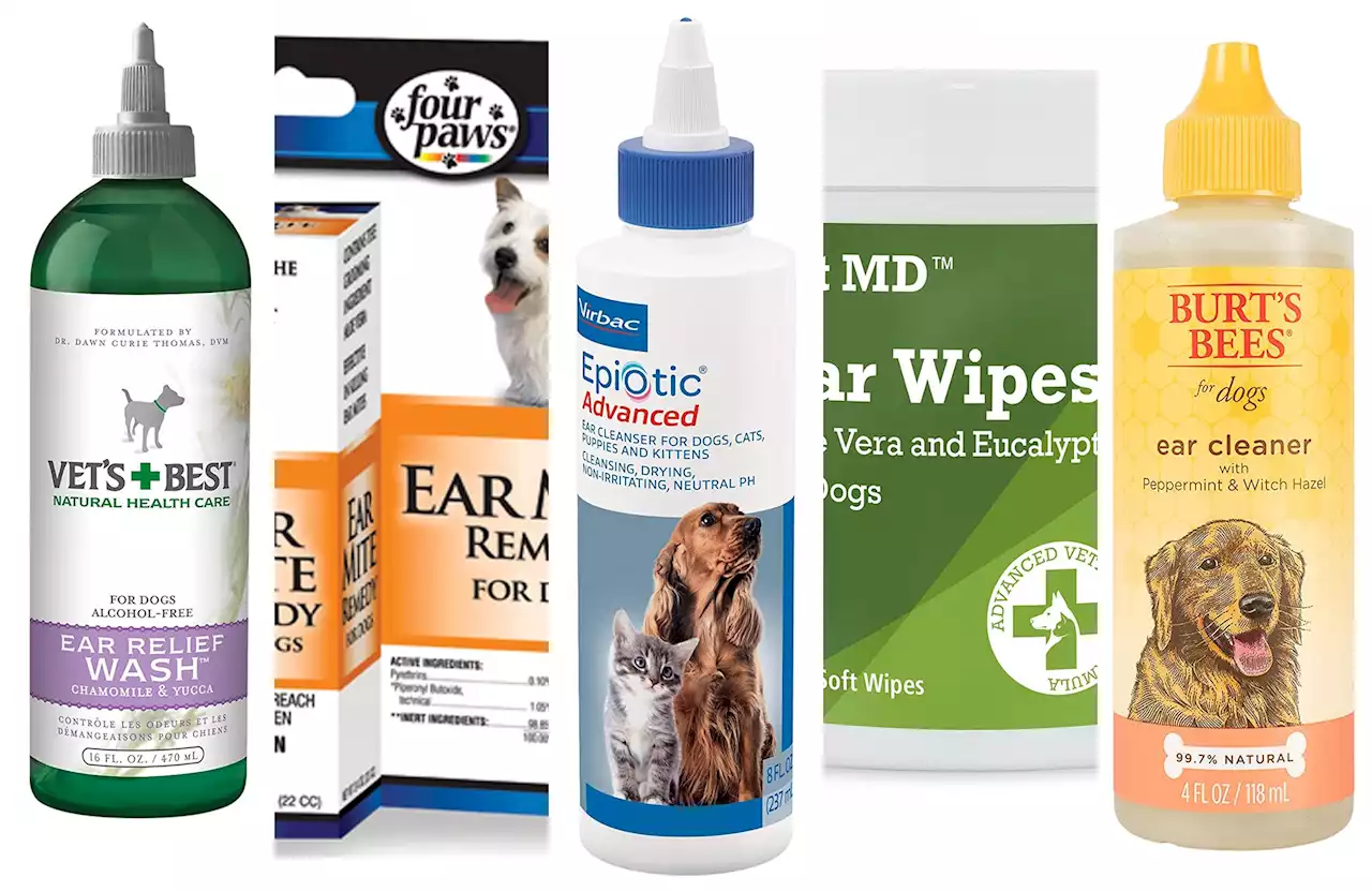 The best dog ear cleaners of 2022