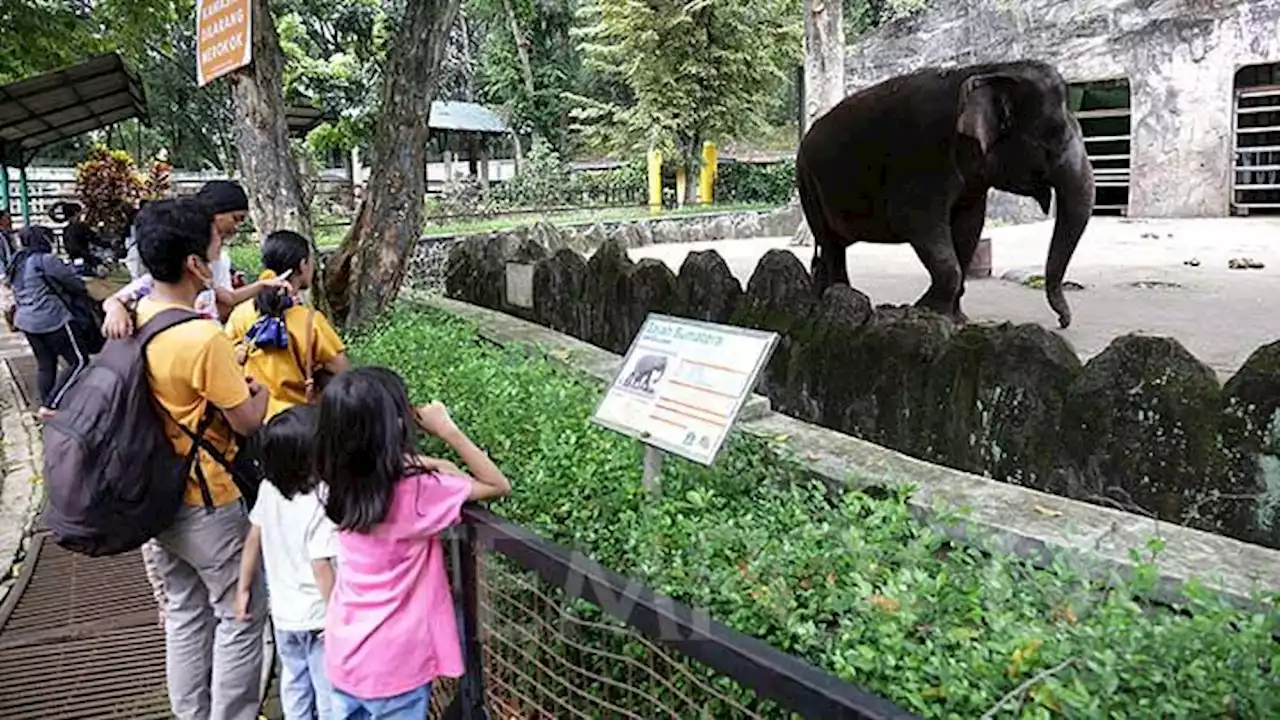 Suasana Taman Margasatwa Ragunan saat Libur Isra Miraj