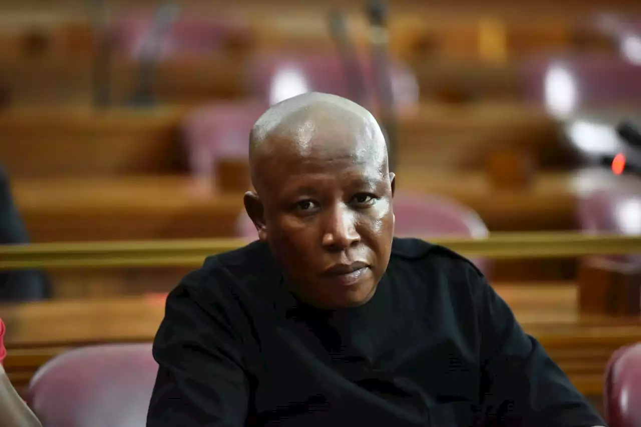 Julius Malema back in court for firearm discharge case