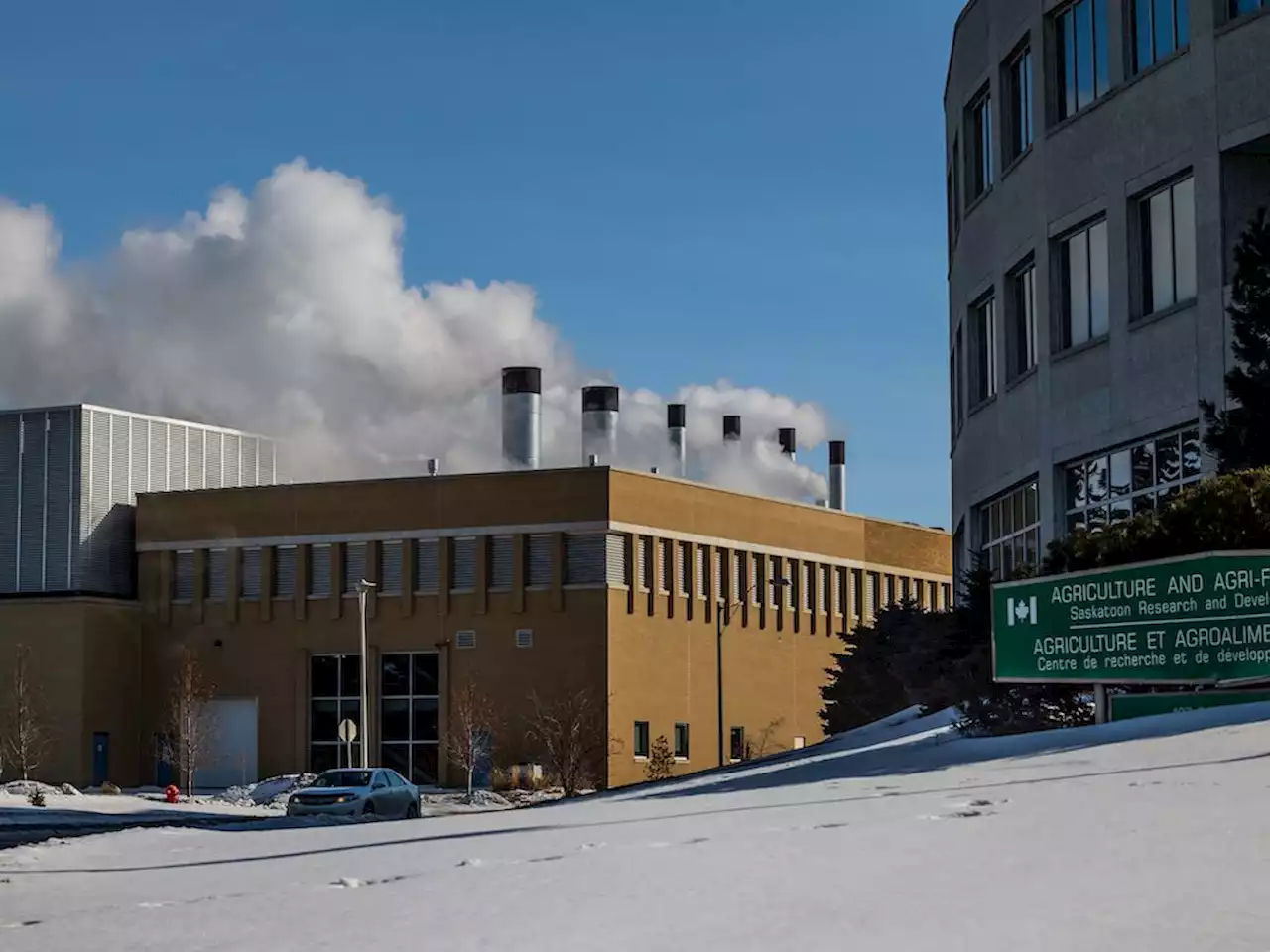 'Monumental undertaking': U of S seeks plan for net-zero campus