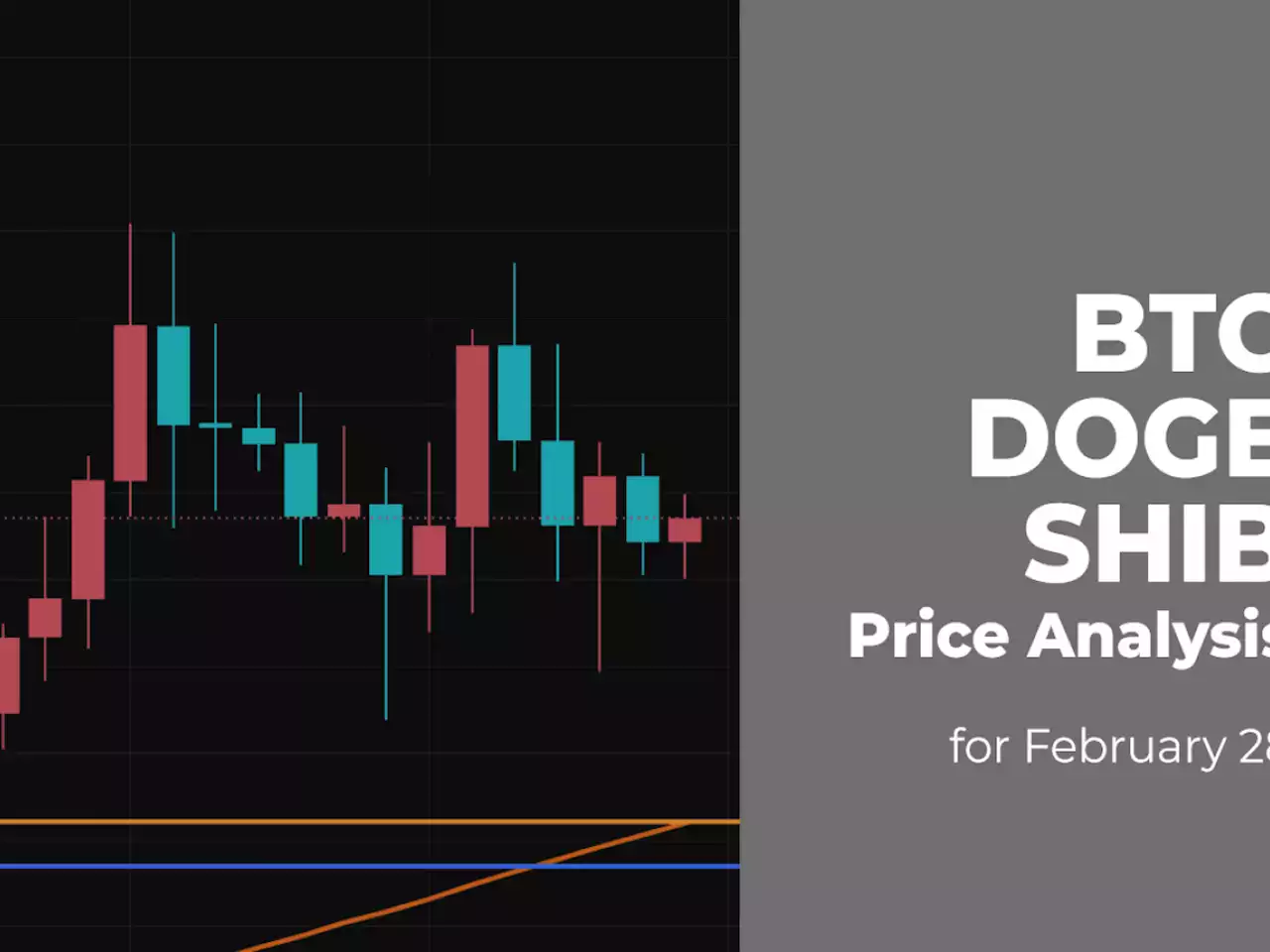 BTC, DOGE and SHIB Price Analysis for February 28