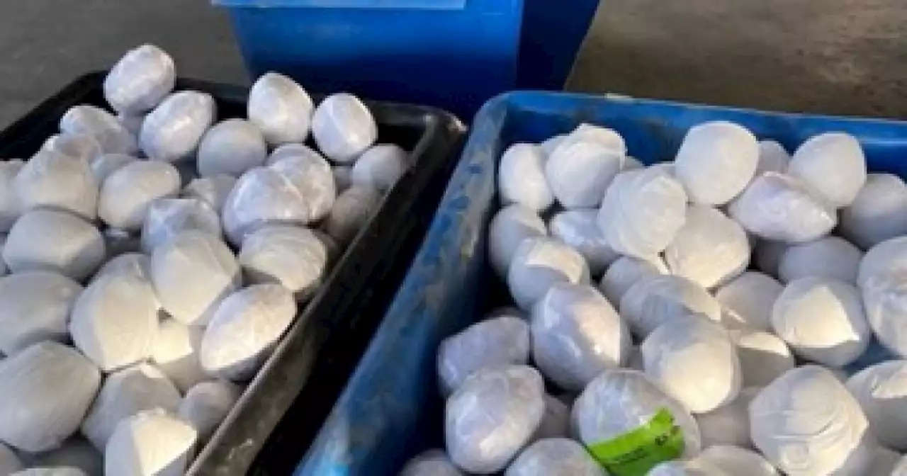 CBP seizes $2.9 million of meth disguised as onions