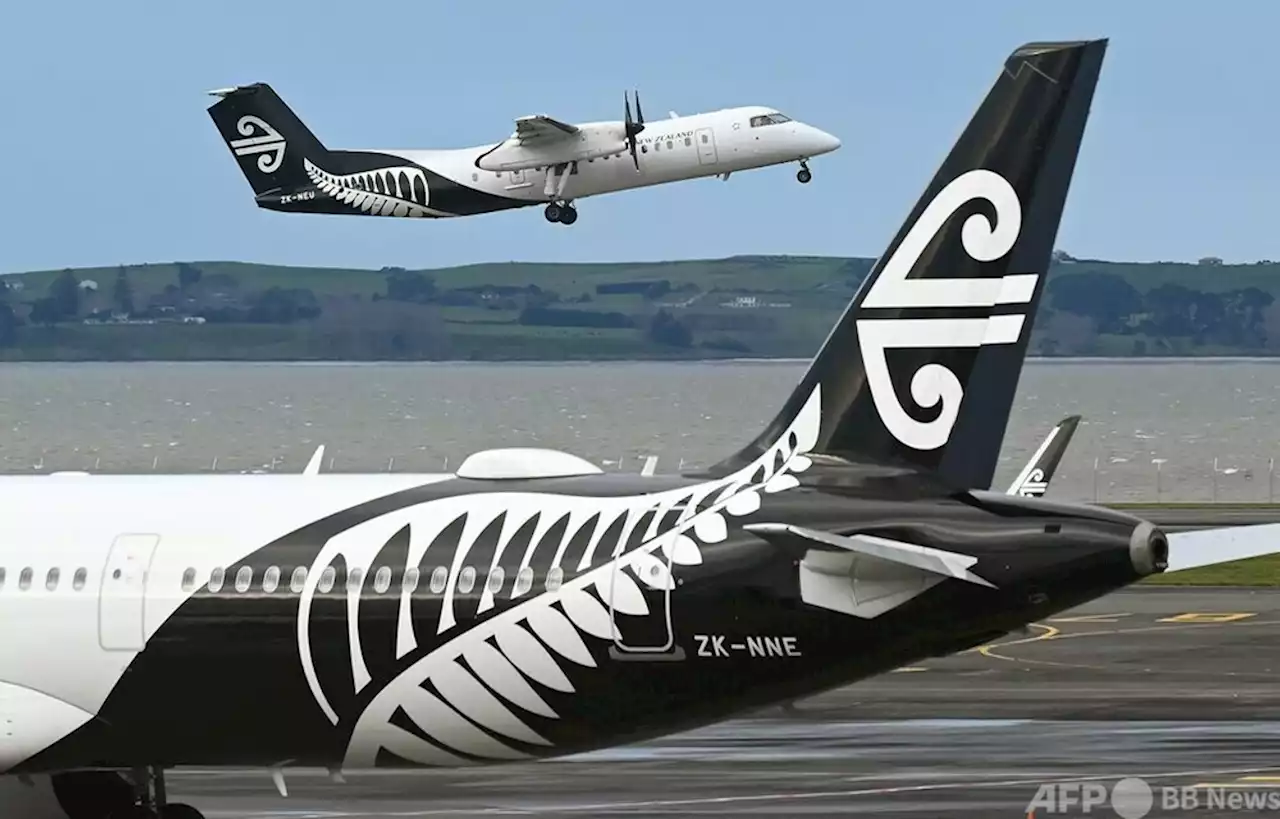 NZ、入国制限を段階的に緩和へ