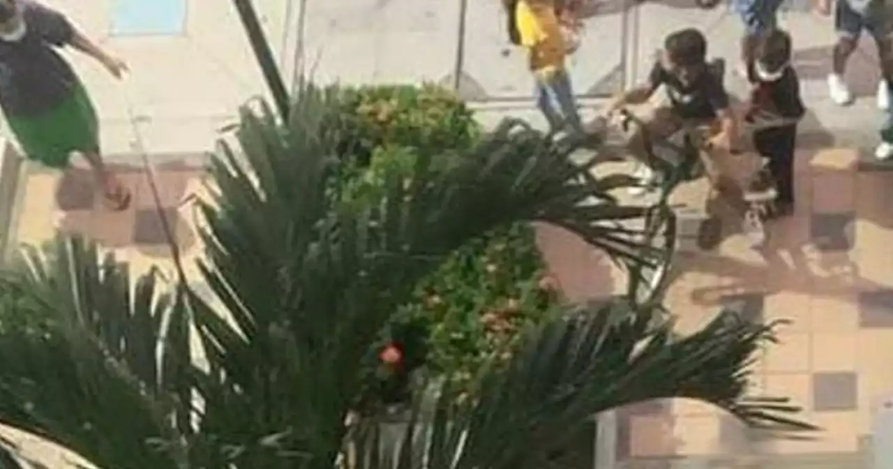 Video: hombre lanzó perrito de edificio en Cartagena al ver perder la Selección Colombia