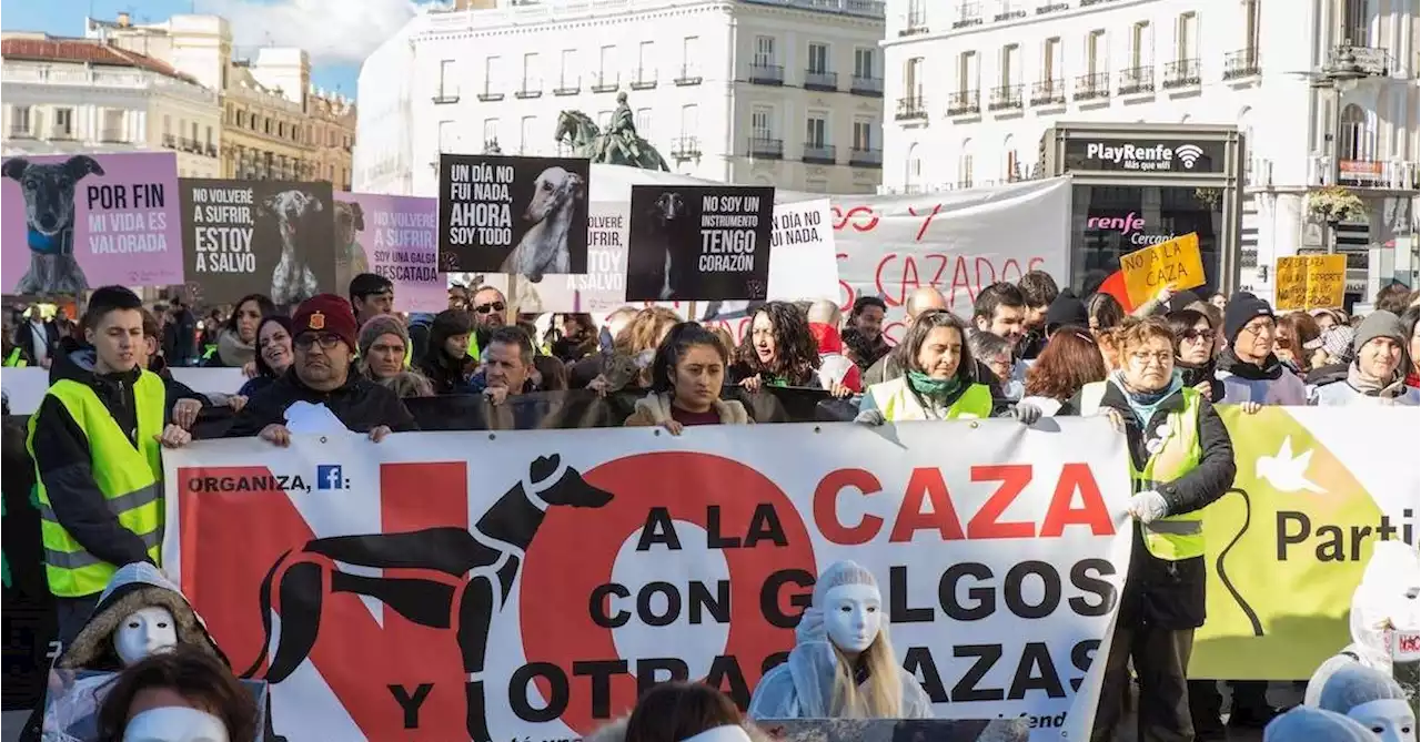 Decenas de ciudades de España salen a la calle contra la caza