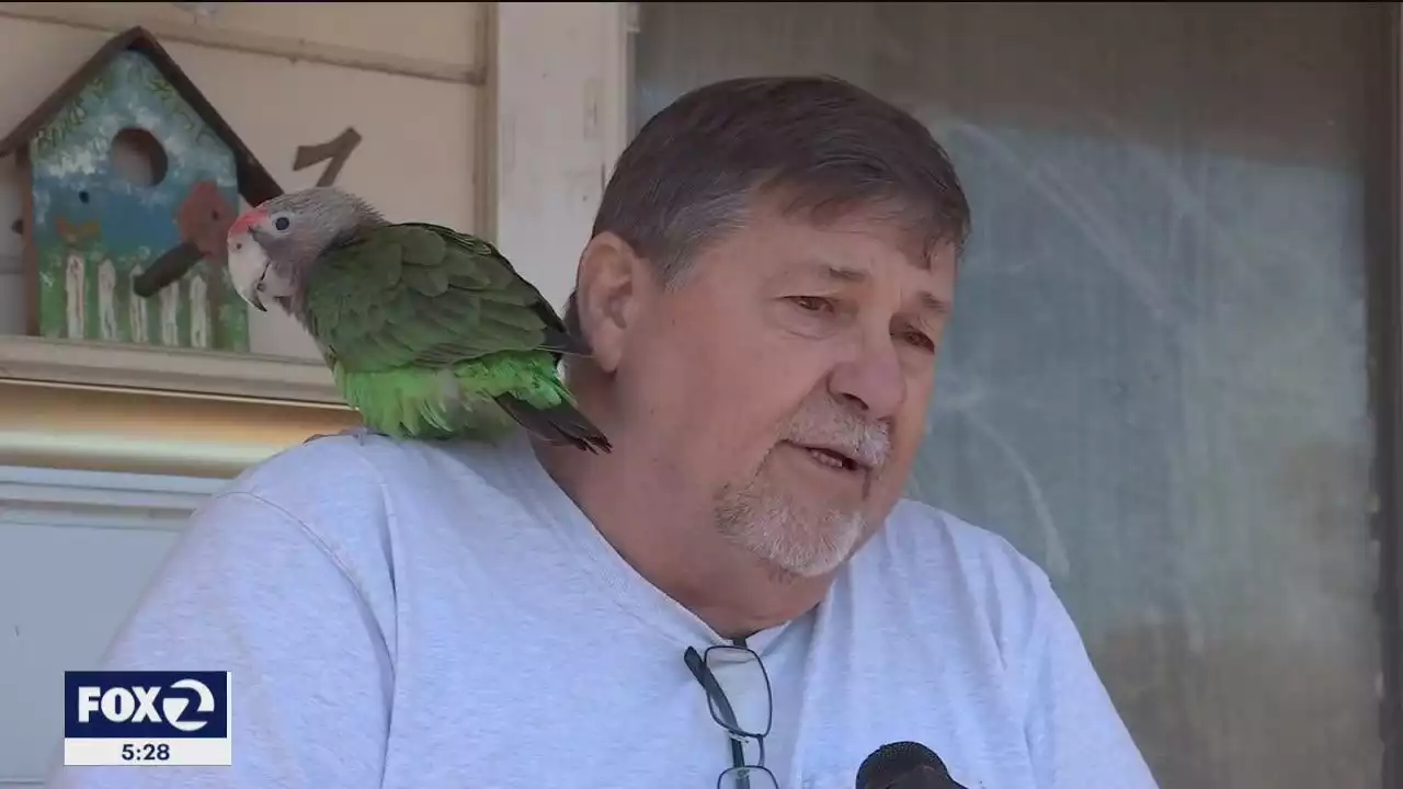 Bay Area bird lover who runs rescue for exotics faces eviction