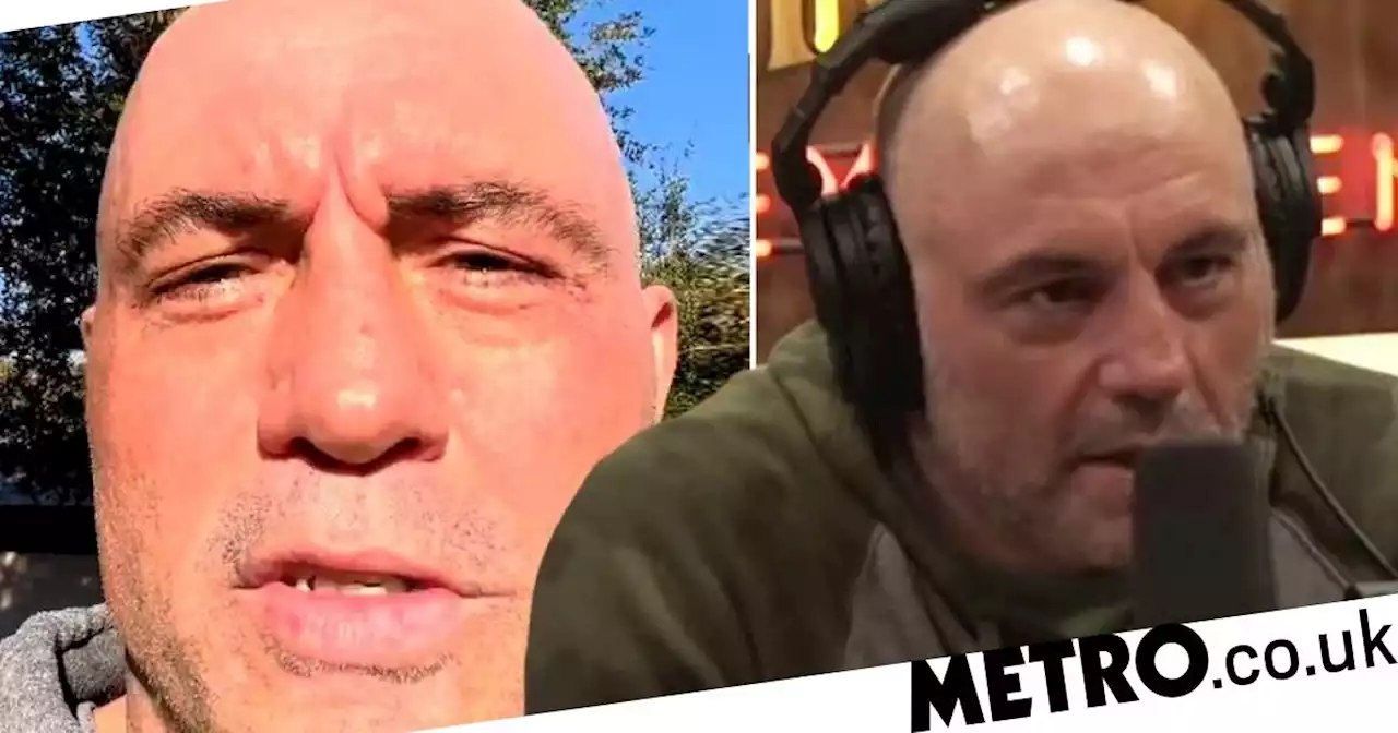 Men are in such need of role models that we've turned to people like Joe Rogan