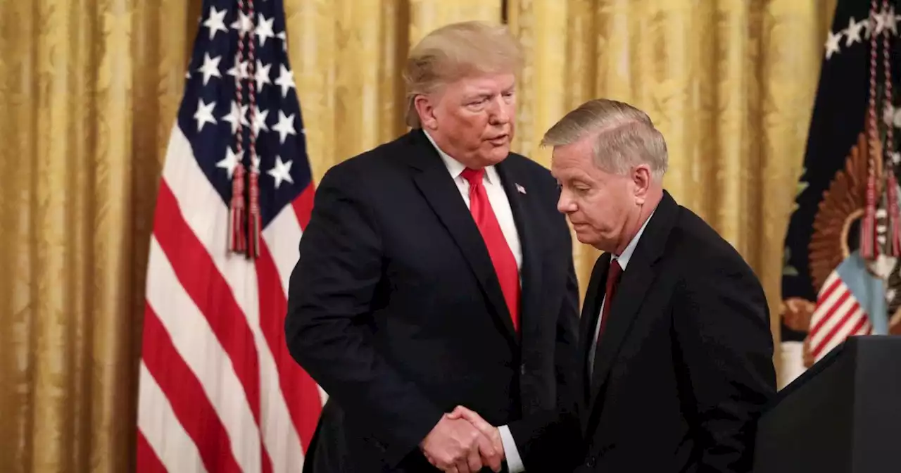 Why it matters that Trump is calling Lindsey Graham a 'RINO'