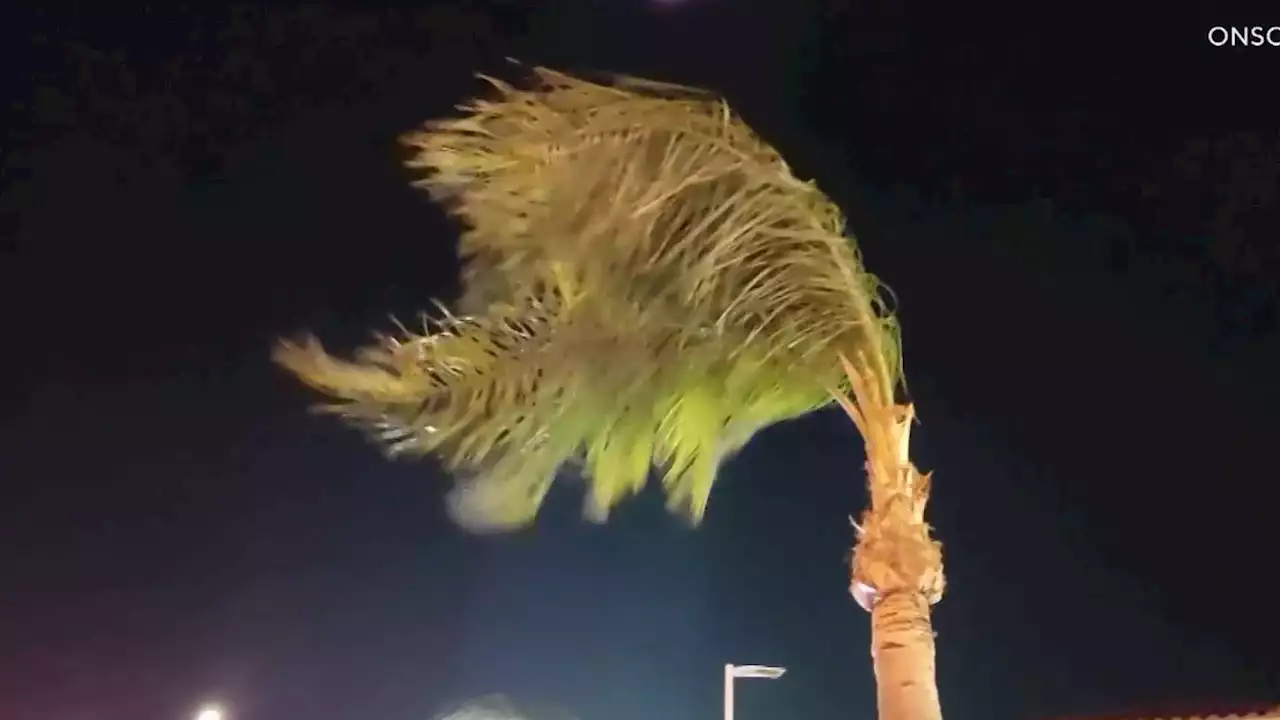 Strong Winds Blow Through SoCal Once Again