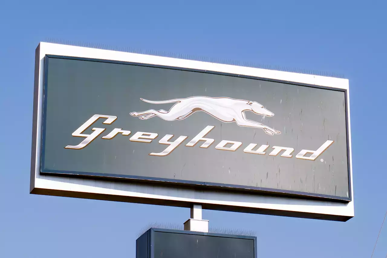 Shooting on Greyhound bus leaves one dead, several others injured