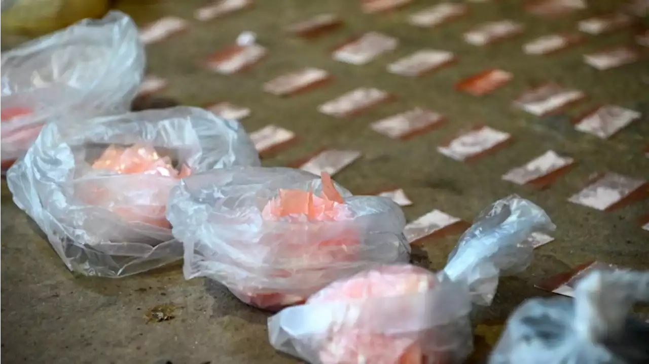 Cocaína envenenada | Ya son 23 los muertos por el consumo de la sustancia