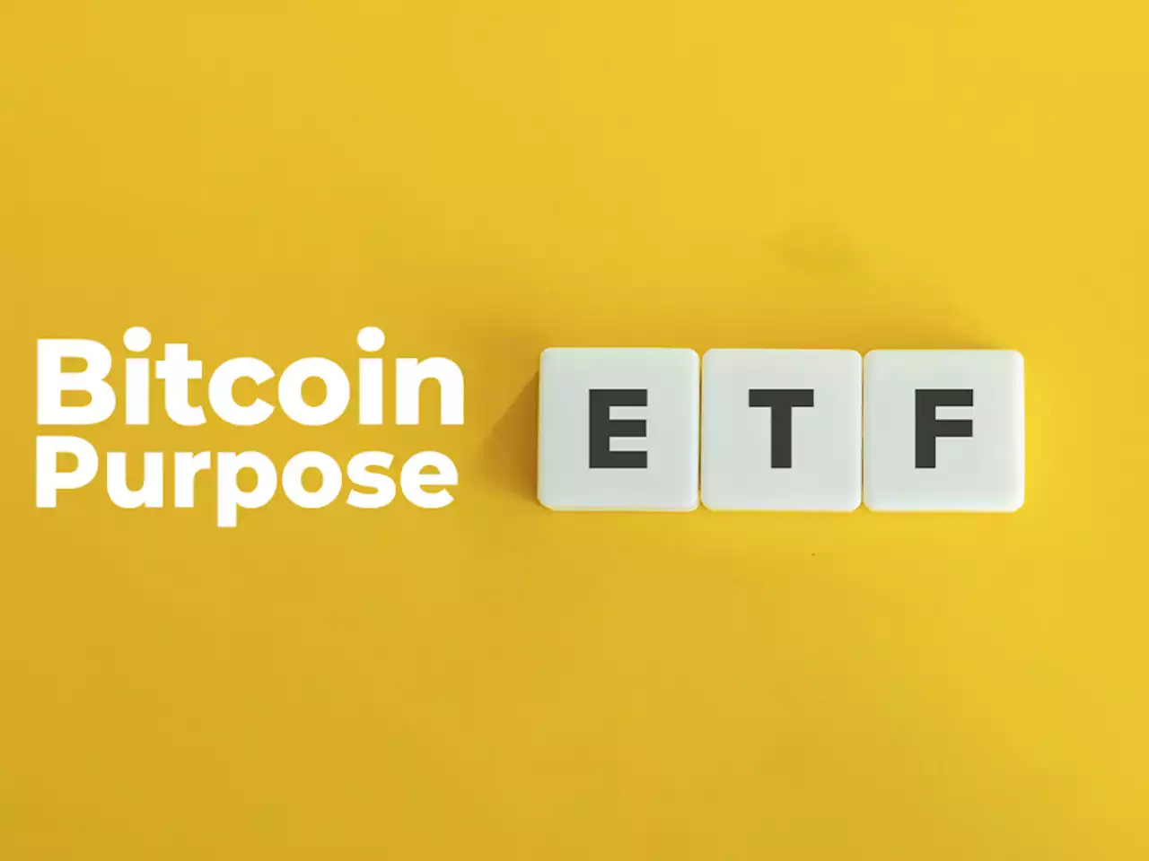 Bitcoin Purpose ETF Faces Record-Breaking Inflows Despite Bitcoin's Drop to $36,900