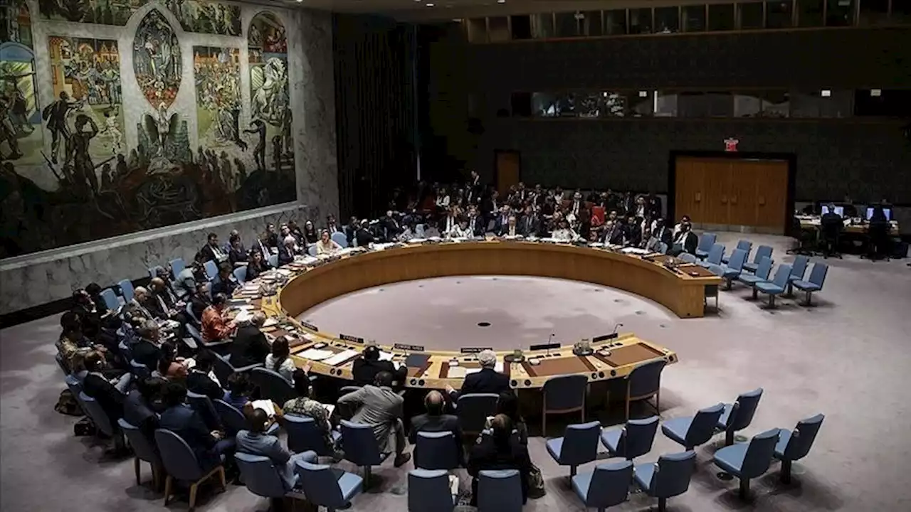 3 دول إفريقية تطلب عقد اجتماع لمجلس الأمن حول انقلاب بوركينا فاسو