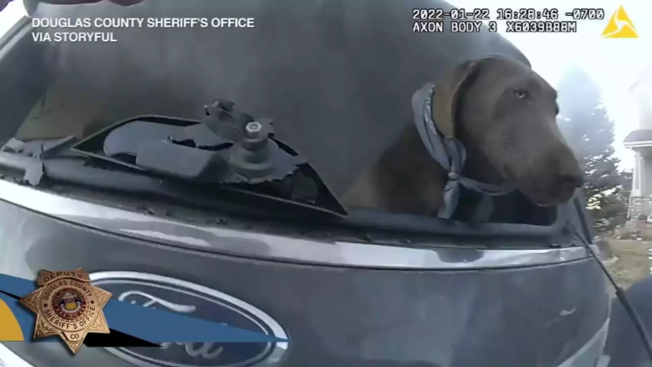 Watch: Bodycam footage shows deputy saving dog from burning vehicle