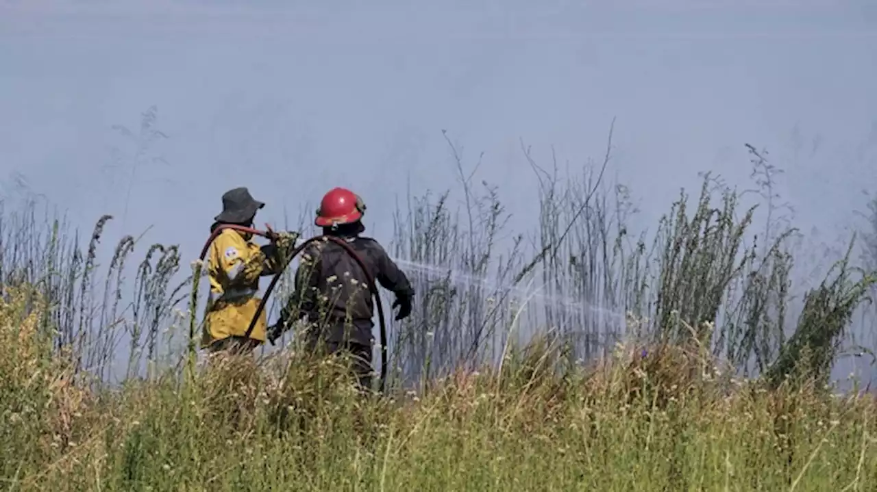 Corrientes, Río Negro y Misiones registran incendios forestales activos