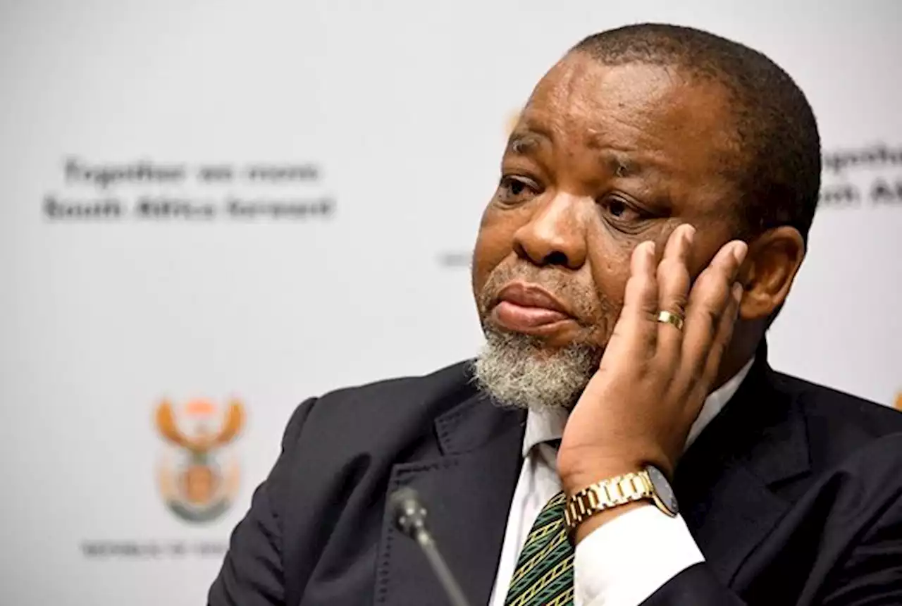 South Africa nuclear board ‘not allowed’ to have atomic foes