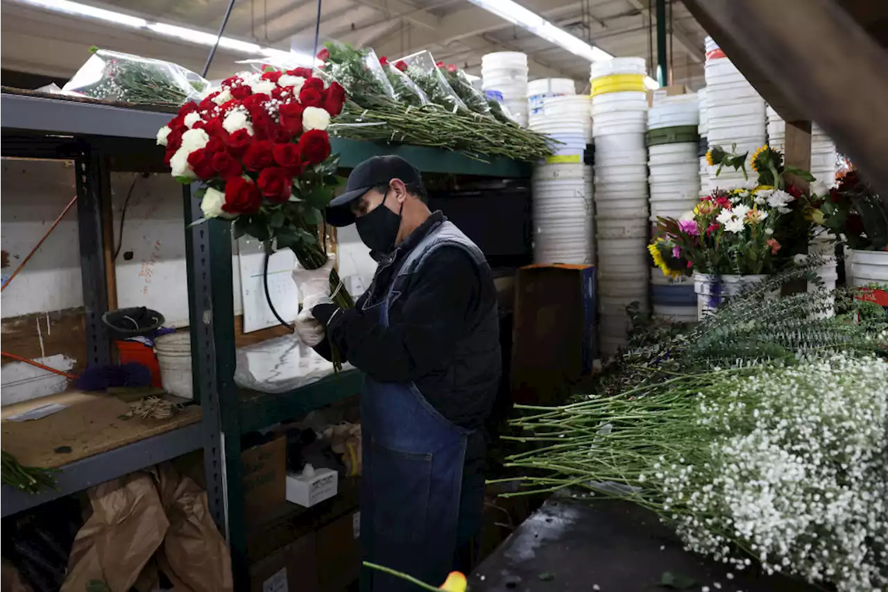 Flowers, Glass Vases in Short Supply Ahead Of Valentine's Day