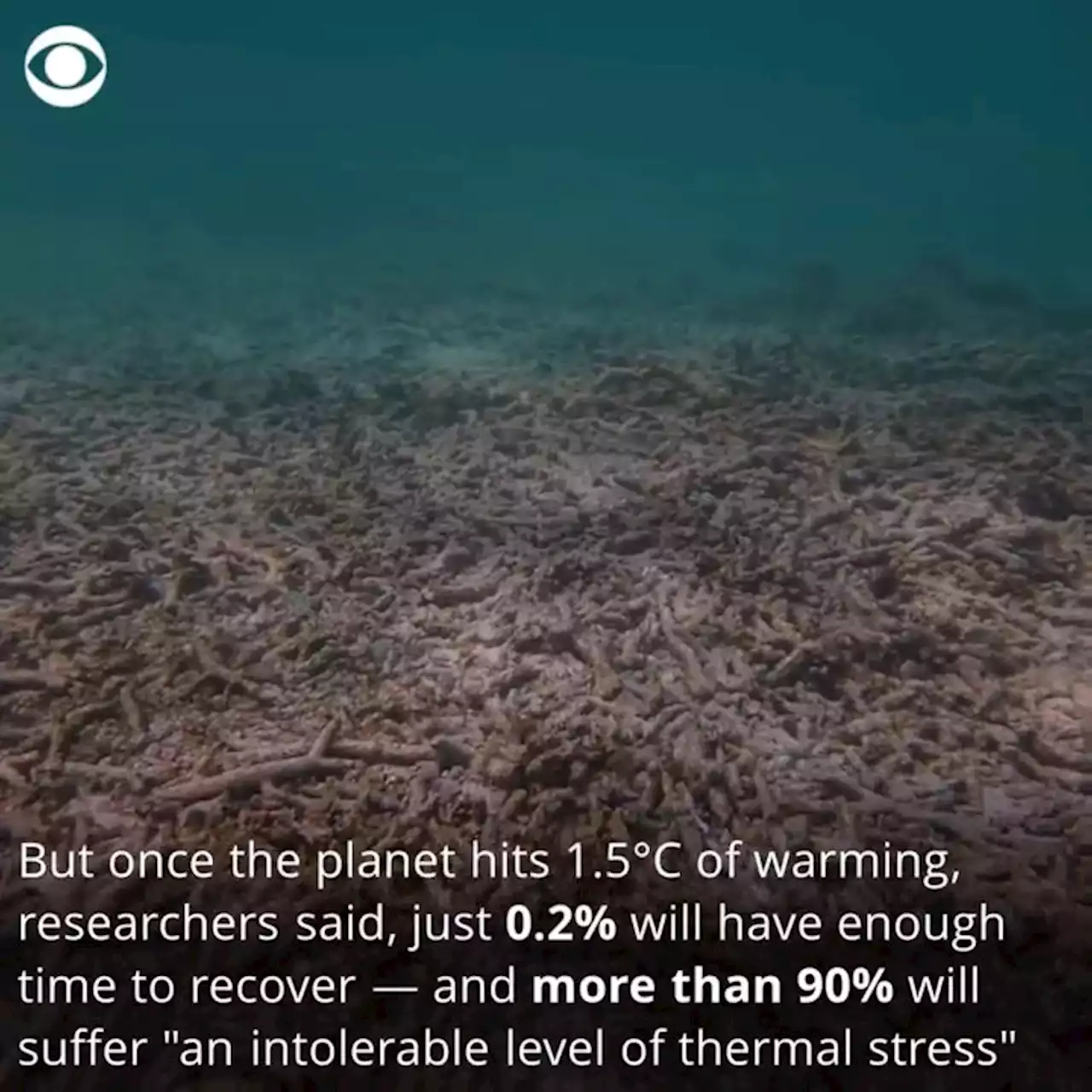 Earth is likely just a decade a way from hitting 1.5\u00b0C of global warming \u2014 and scientists say it will be 'catastrophic' for coral reefs