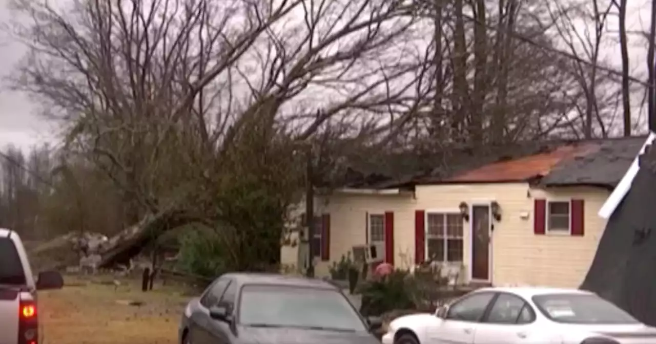 Large tornado in Alabama leaves 1 dead and 8 injured, local official says