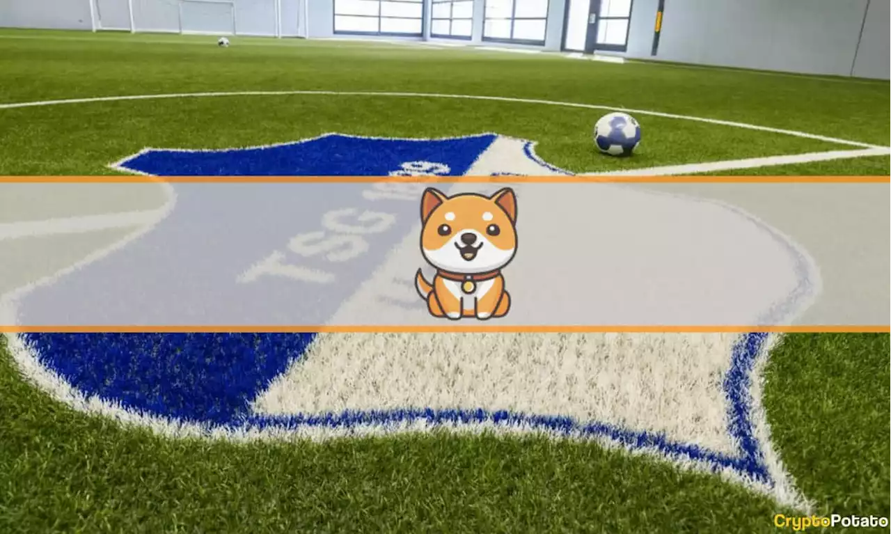 German Soccer Club TSG Hoffenheim Partners with Baby Doge