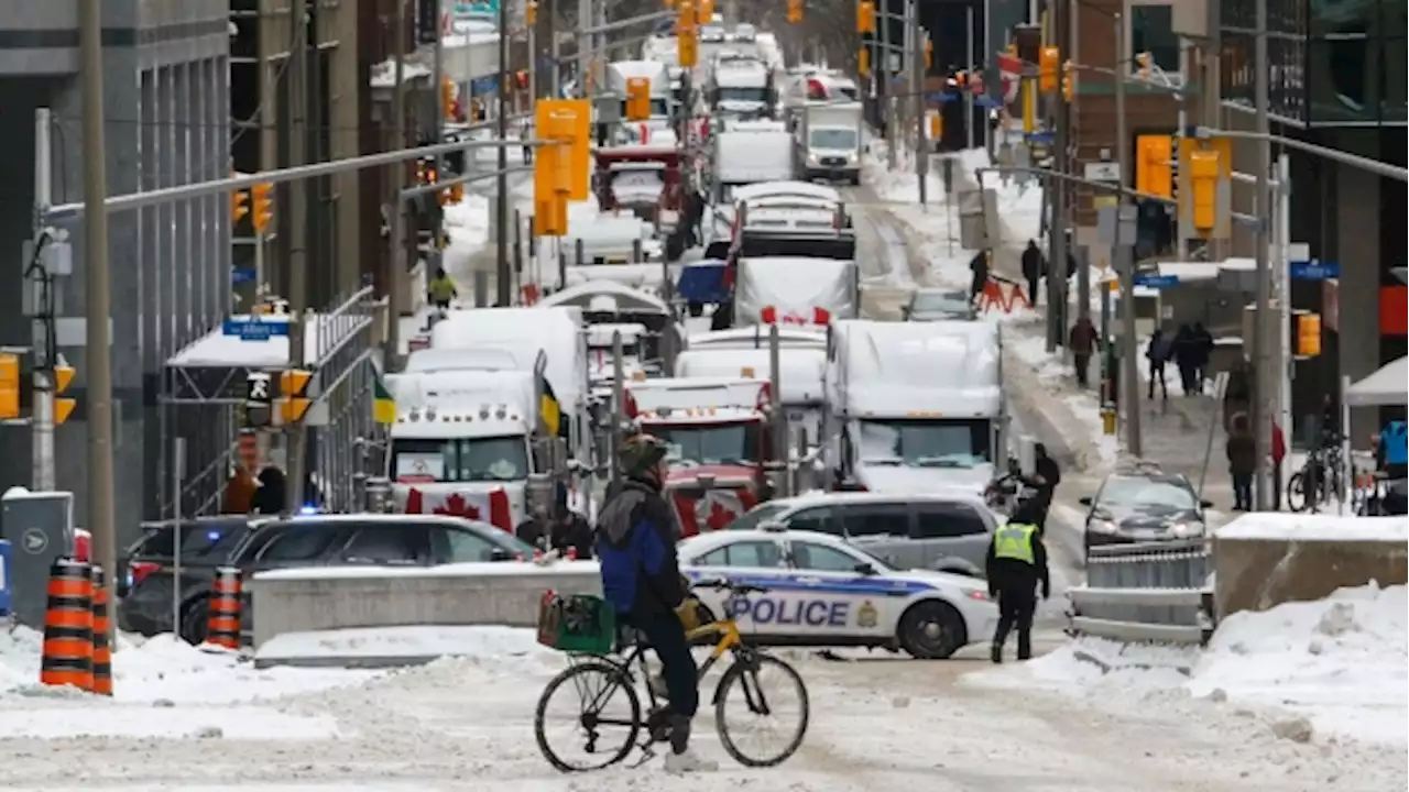 Ottawa protests inspire plans for 'freedom' convoys around the world