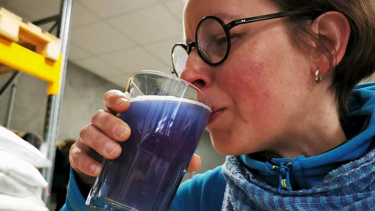 French brewer sells blue beer made with algae