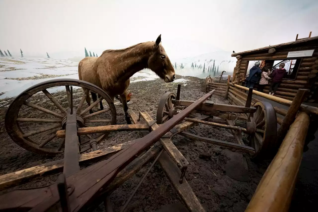 How three Canadian museums are reckoning with their past mishandlings of Indigenous history